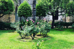 Giardino chiostro - 4