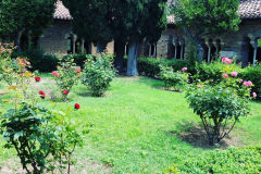 Giardino chiostro -3