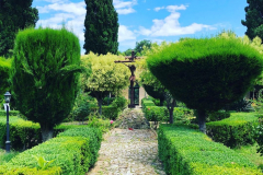 Giardino chiostro - 6