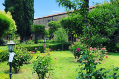 Giardino del chiostro - 1