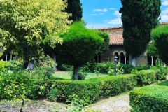 Giardino del chiostro - 2