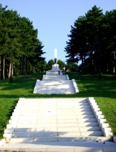 Pineta